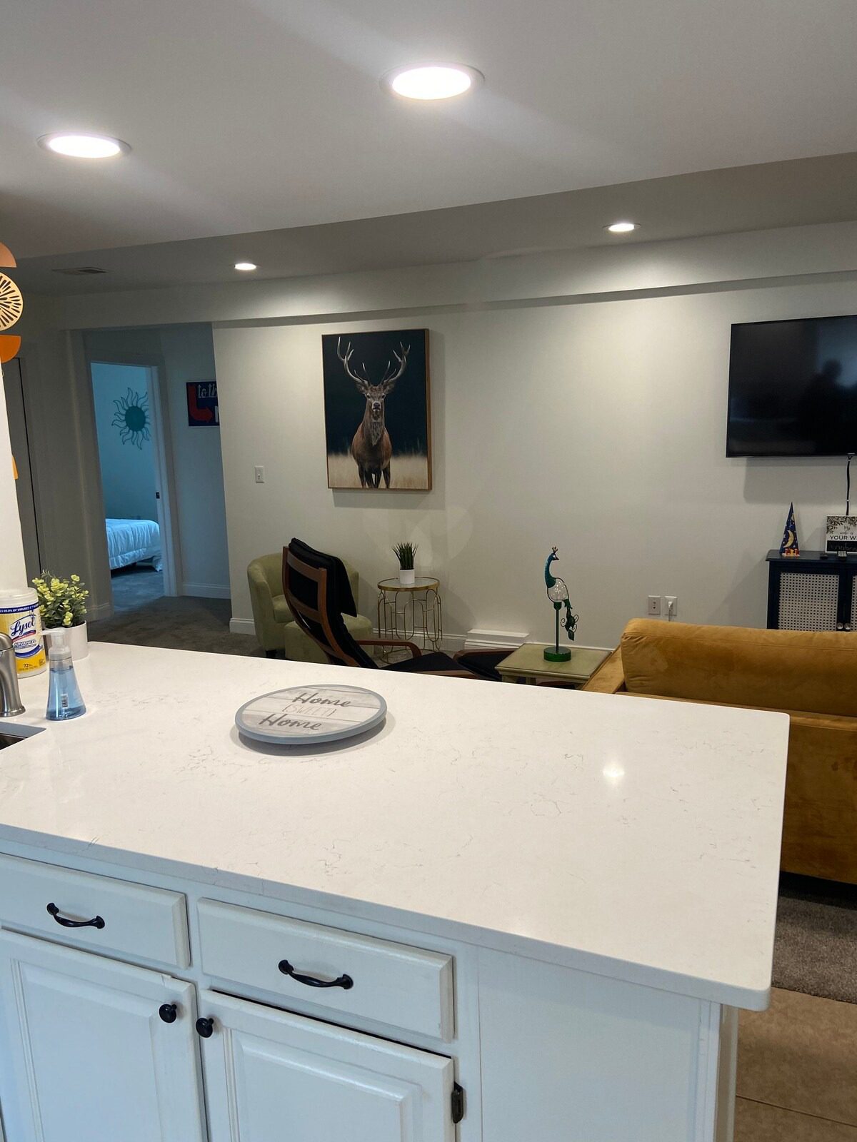 Bright kitchen and living room space