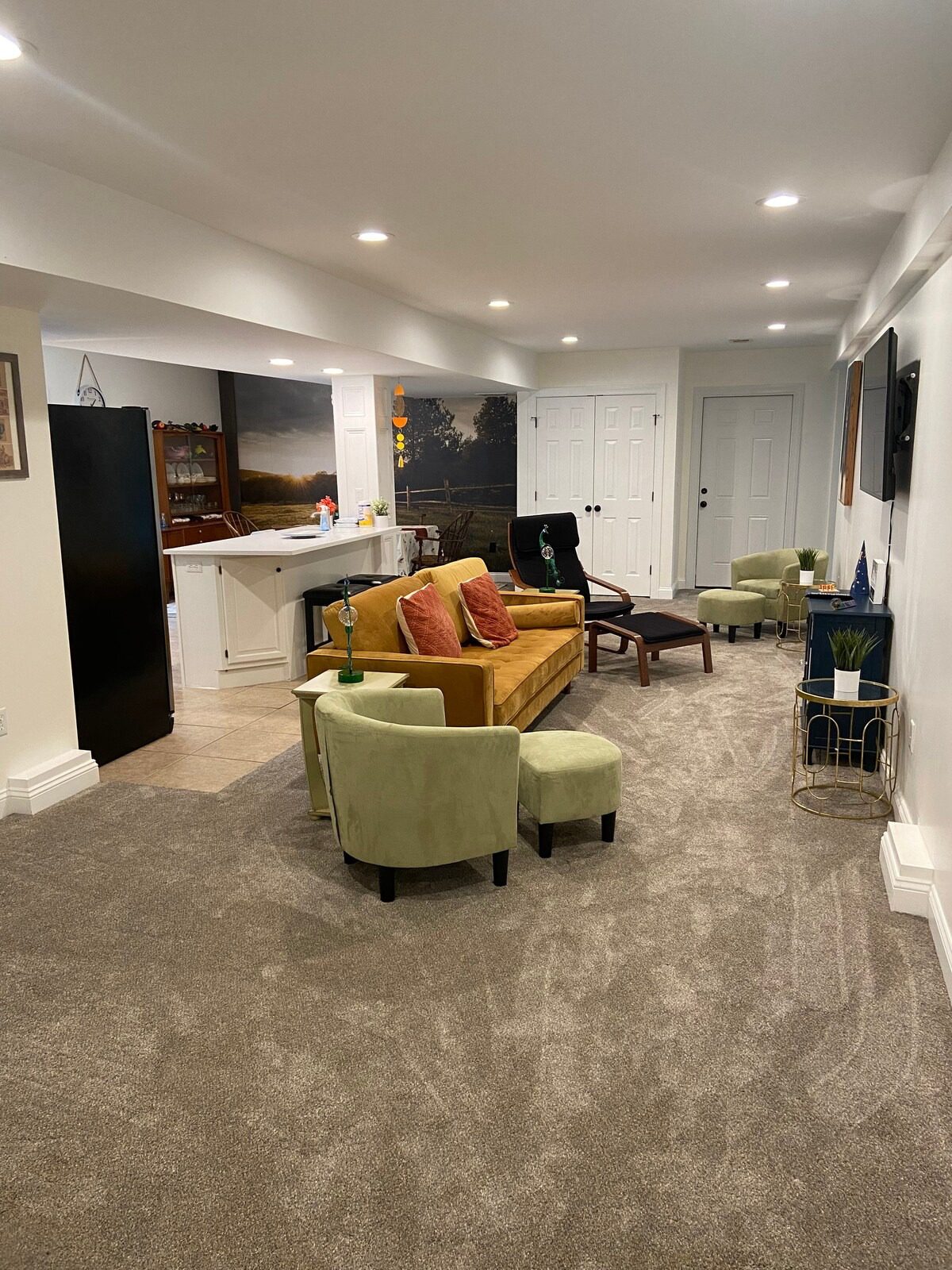 Cozy basement lounge area with carpet