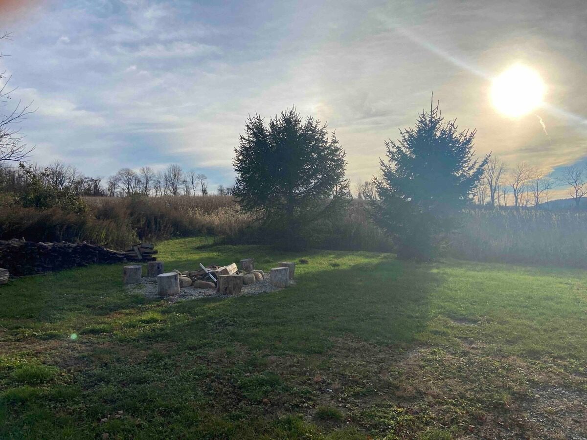 Grassy area and trees under sun